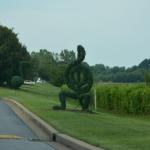 OTRA2014_0803 (August 29, 2014)